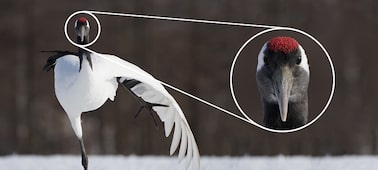 Ảnh của Ống k&iacute;nh tele si&ecirc;u zoom G Master 100-400mm cho m&aacute;y ảnh