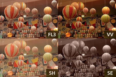 Bốn hình ảnh ví dụ cho thấy các cài đặt sẵn của Creative Look, bao gồm FL3 (trên cùng bên trái), VV (trên cùng bên phải), SH (dưới cùng bên trái) và SE (dưới cùng bên phải)