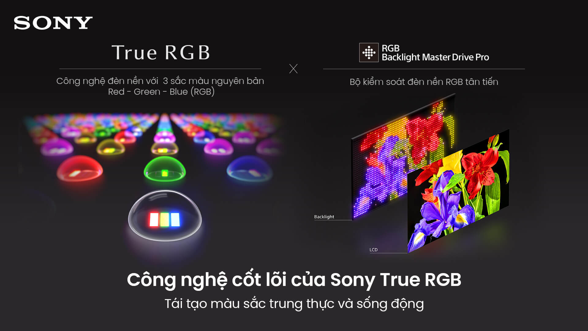 True RGB – Chuẩn mực màu sắc của tương lai